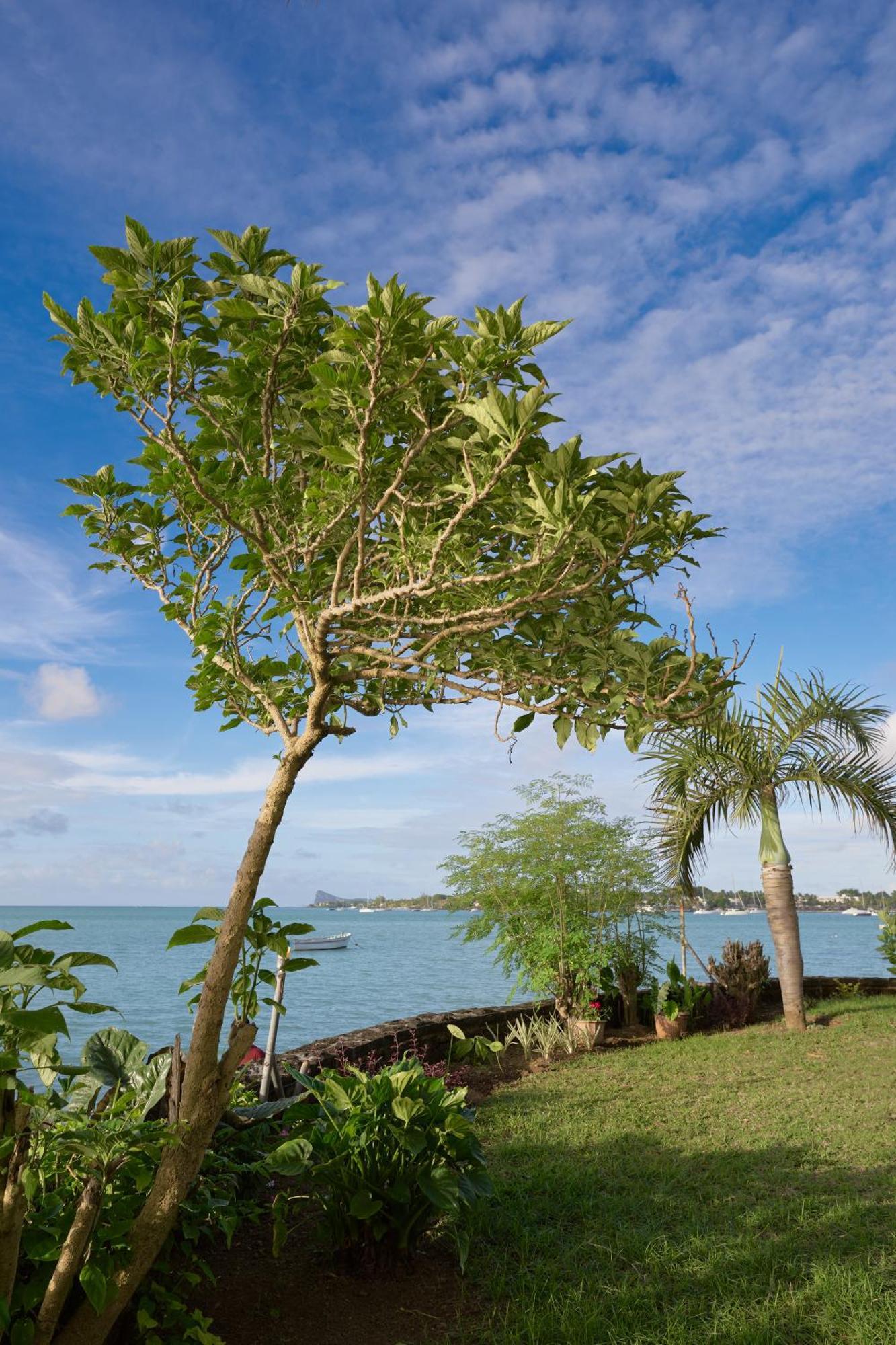 Appartement Lagoon View Résidence Grand Baie